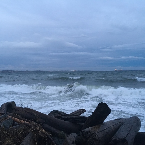 Meet your Posher, Venus - Picture 1 of 1